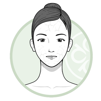dry skin icon